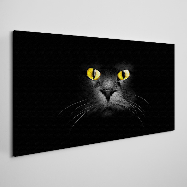 Vászonkép Állatok macska szemek