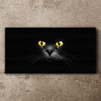 Vászonkép Állatok macska szemek