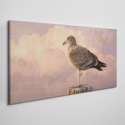 Vászonkép Állati madár Seagull Sky