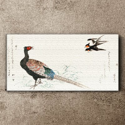 Vászonkép Ázsia állati madarak