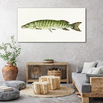 Vászonkép Muskie természetes élőhelyén