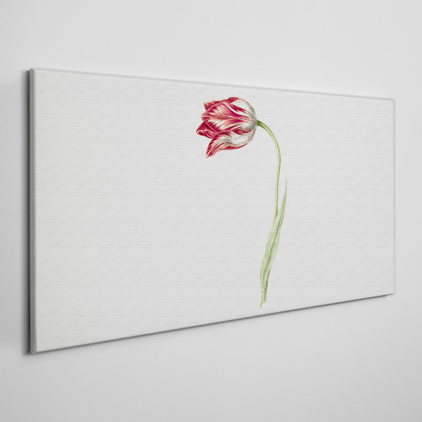 Vászonkép Tulipán finom árnyalatokban