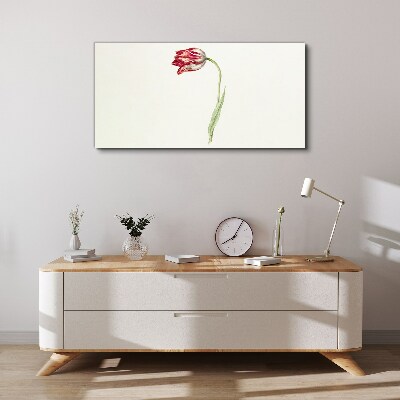 Vászonkép Tulipán finom árnyalatokban