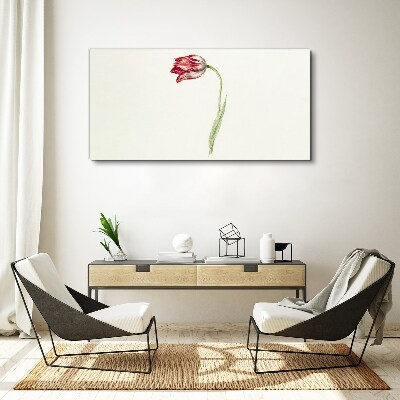 Vászonkép Tulipán finom árnyalatokban