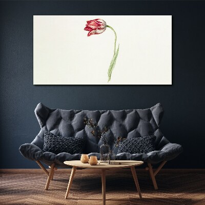 Vászonkép Tulipán finom árnyalatokban