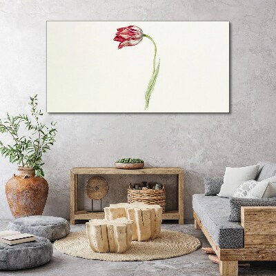 Vászonkép Tulipán finom árnyalatokban