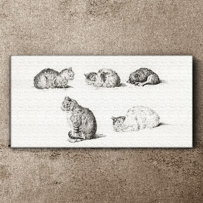 Vászonkép A macskaállatok rajza