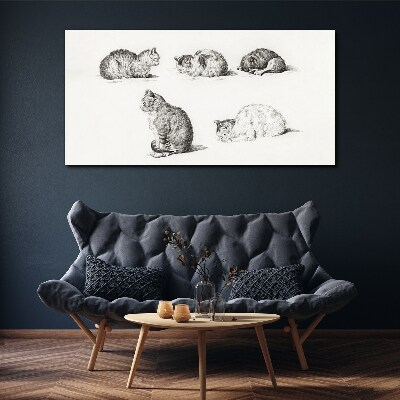 Vászonkép A macskaállatok rajza