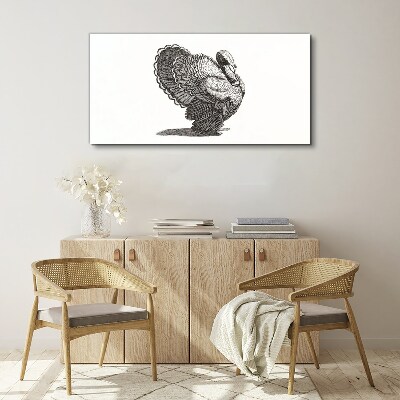 Vászonkép Az állati madár pulyka képe