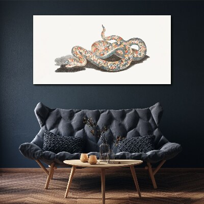 Vászonkép Kígyó