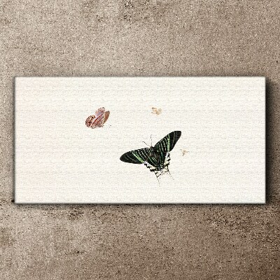 Vászonkép Modern hiba rovar pillangó