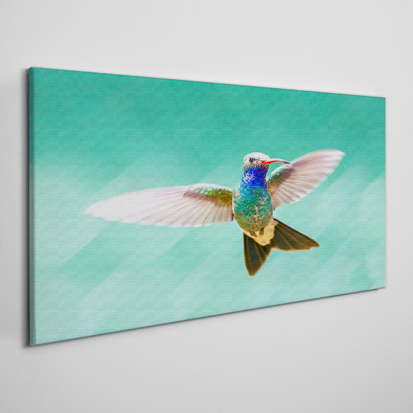 Vászonkép Kolibri kék háttérrel