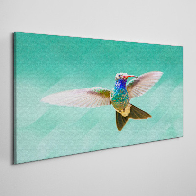 Vászonkép Kolibri kék háttérrel