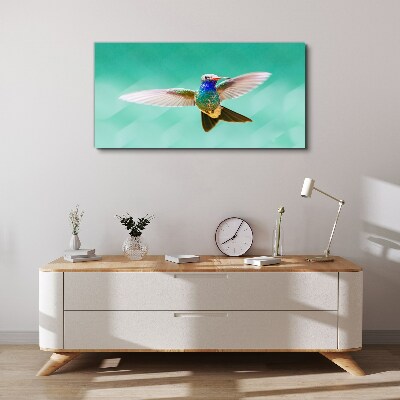 Vászonkép Kolibri kék háttérrel