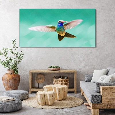 Vászonkép Kolibri kék háttérrel