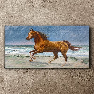 Vászonkép Beach Coast Horse Sea Waves