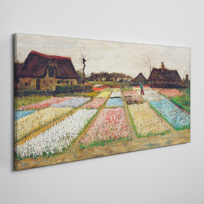 Vászonkép Tavaszi tulipán mezők