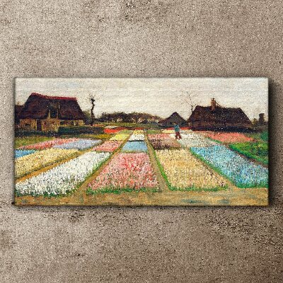 Vászonkép Tavaszi tulipán mezők