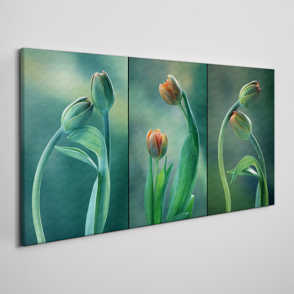 Vászonkép Tulipánok a zöld árnyalataiban
