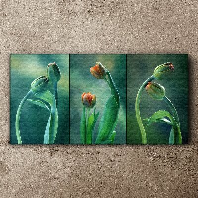 Vászonkép Növényi virágok tulipánok