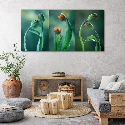 Vászonkép Tulipánok a zöld árnyalataiban