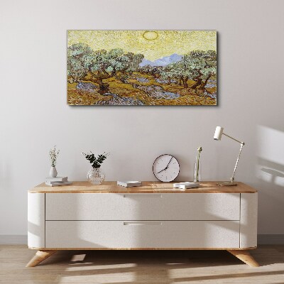 Vászonkép Olajfák a napon