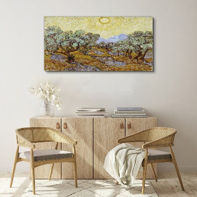 Vászonkép Olajfák a napon