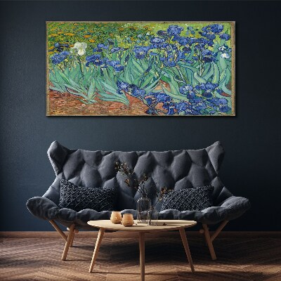 Vászonkép Íriszek a kertben