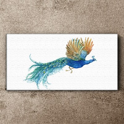 Vászonkép Színes páva mozgásban