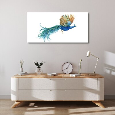 Vászonkép Színes páva mozgásban