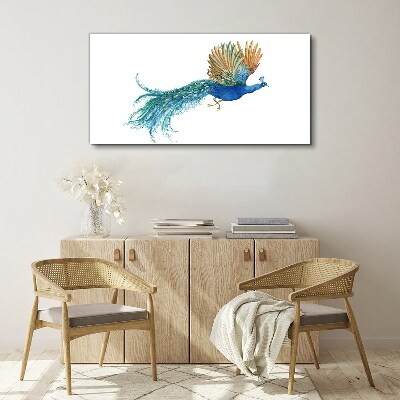 Vászonkép Színes páva mozgásban