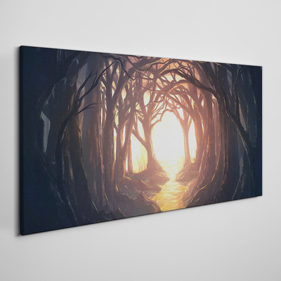 Vászonkép Fény az erdőben