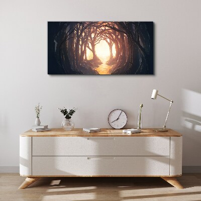 Vászonkép Fény az erdőben