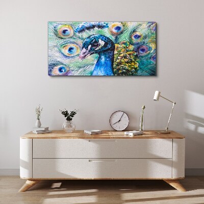 Vászonkép Színes páva tollak között