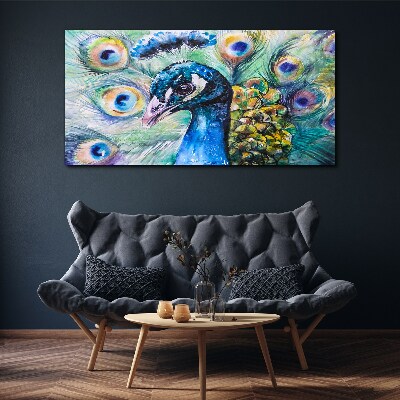 Vászonkép Színes páva tollak között