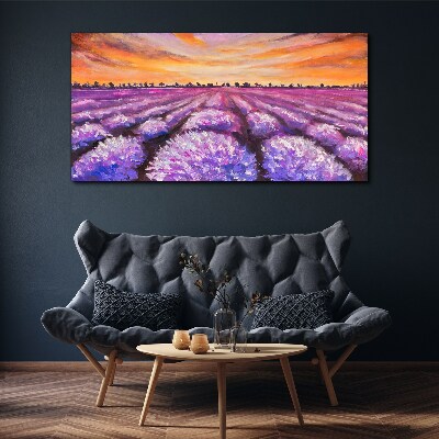 Vászonkép Lila levendulamezők naplementekor