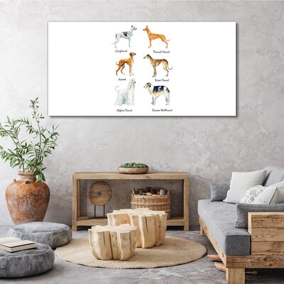 Vászonkép Kutyafajták a chrts