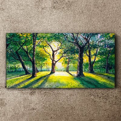 Vászonkép Arany sugarak az erdei ligetben