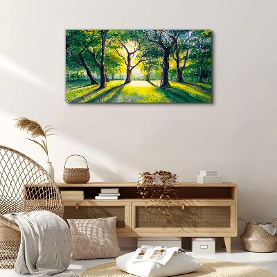 Vászonkép Arany sugarak az erdei ligetben