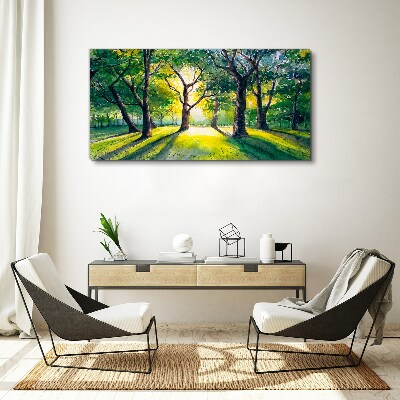 Vászonkép Arany sugarak az erdei ligetben