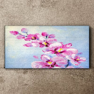 Vászonkép Rózsaszín orchideák kék alapon