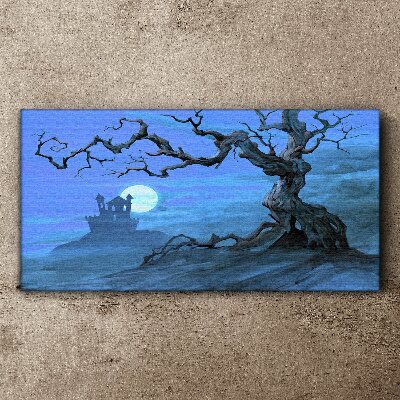 Vászonkép Kastély a holdfényben