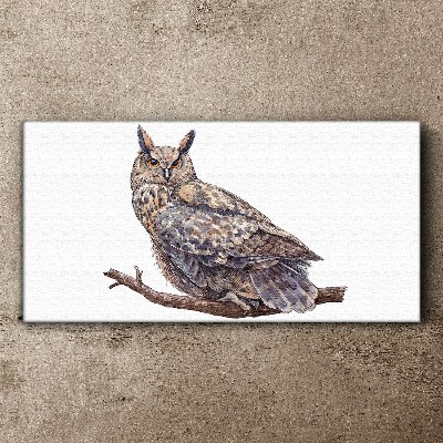 Vászonkép Bagoly egy ágon