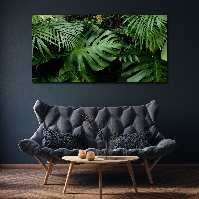 Vászonkép Trópusi növényzet a természet mélyén