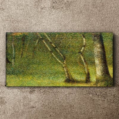 Vászonkép Zöld erdő a napfényben