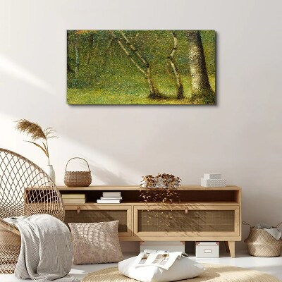 Vászonkép Zöld erdő a napfényben