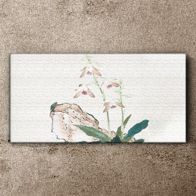 Vászonkép Virágok a természet hátterében