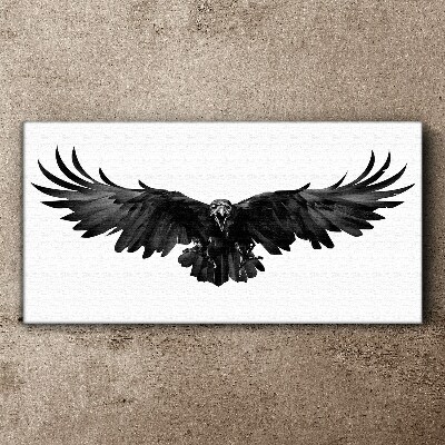 Vászonkép Fekete sas repülés közben