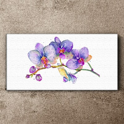 Vászonkép Az orchideák virágos szépsége