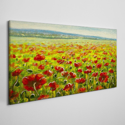 Vászonkép Mákmező a napon
